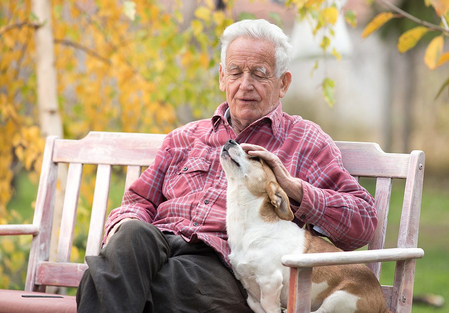 Senior Pet Care Concept. Elderly man with dog on a park bench
