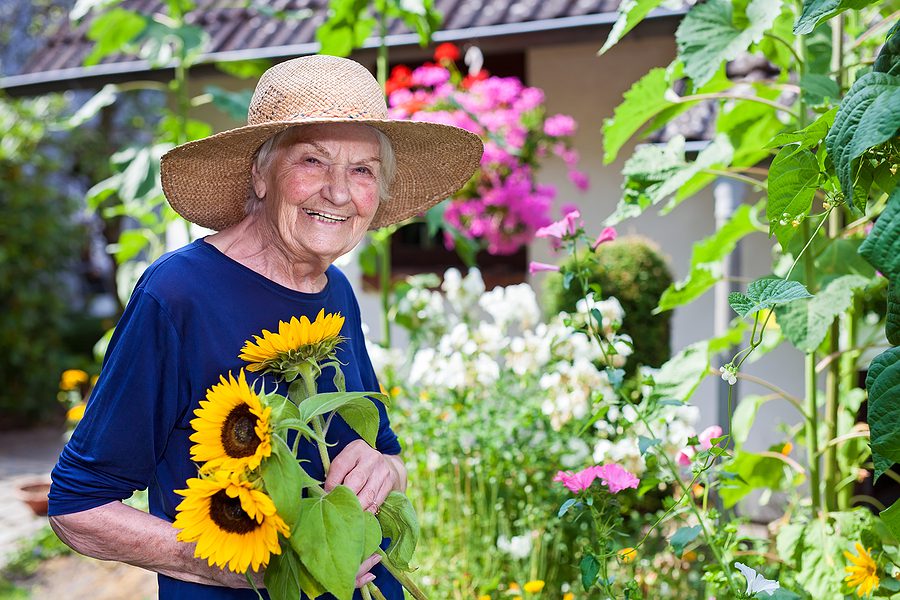 Smiling old woman tending to her garden in a sunhat. Summer activities concept