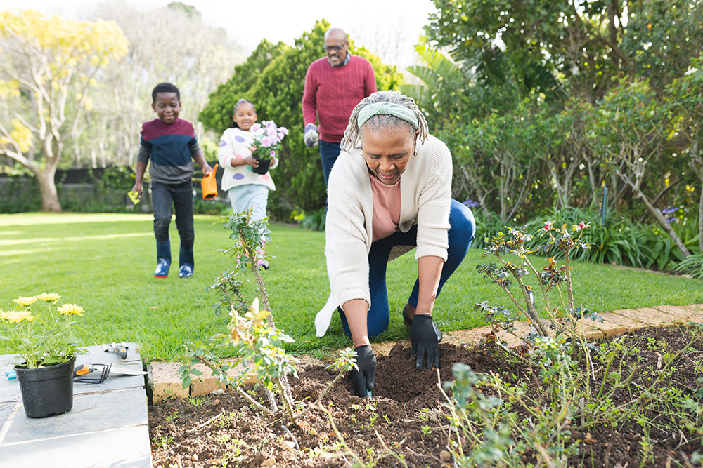 Beginner Gardening Tips for Older Adults