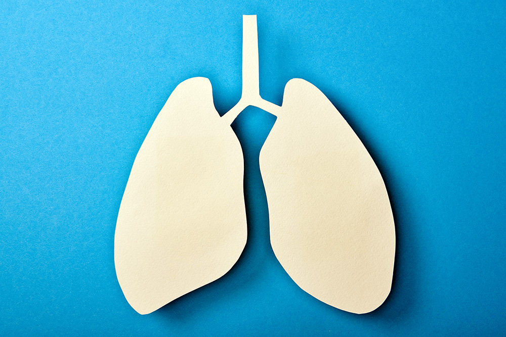 basic model of lungs on a blue background - Pneumonia concept
