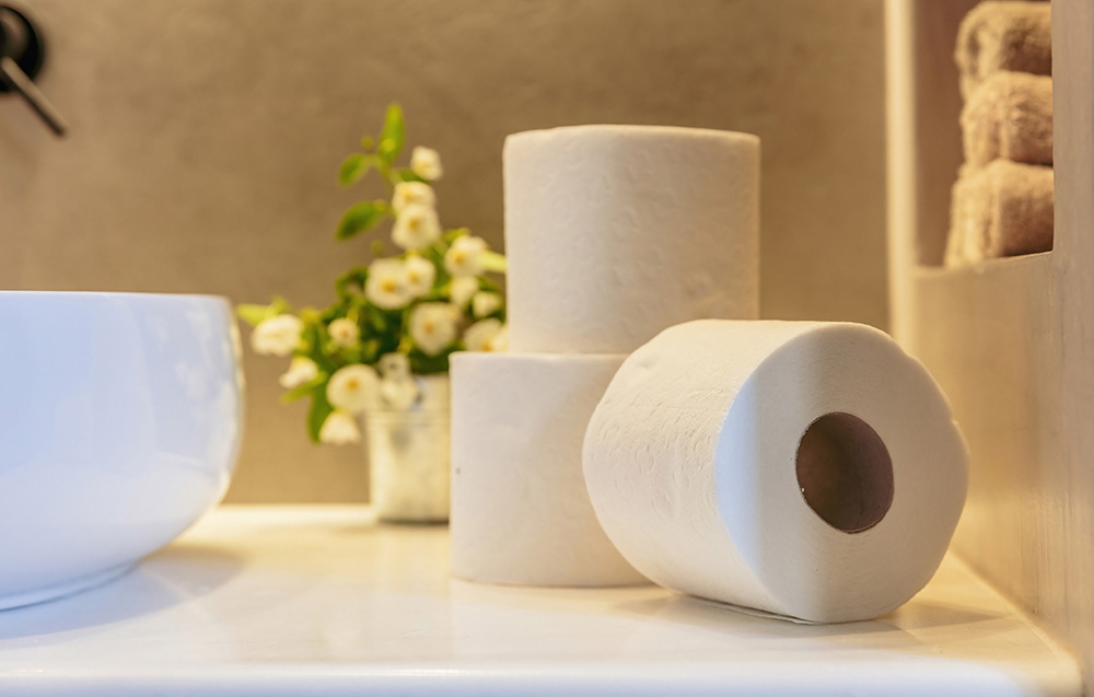 toilet paper rolls on the bathroom countertop - ibs irritable bowel syndrome concept